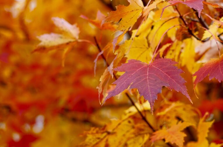 autumn home sales fall advantages wisconsin