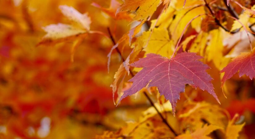 autumn home sales fall advantages wisconsin